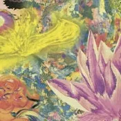 ARTG-1007 TROPICAL FANTASY by Alex. ITALY