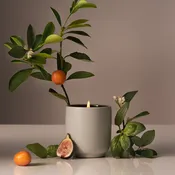 Homecourt - Signature Candle by Courtney Cox