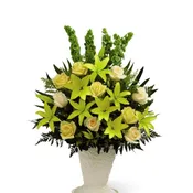 The Golden Memories Arrangement