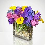 Bountiful Bloom