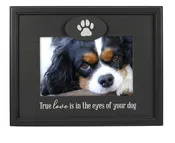 4X6 True Love Eyes of Your Dog