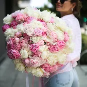 100 peonies