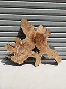 Olive Crosscut - 06107 — Cali Hardwoods & Supplies