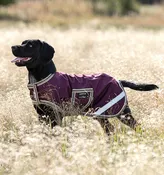 Amigo® Ripstop Waterproof Dog Blanket
