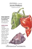 Ancho/Poblano Chile Pepper Seeds