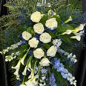 Fly High Blue Bird