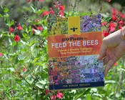 100 Plants to Feed the Bees