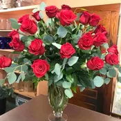 Rosey Red