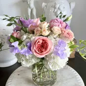 The Stephanie