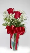 2 Rose Bud Vase with Fern and Baby’s Breath