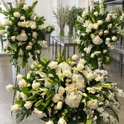 All White Sympathy Package