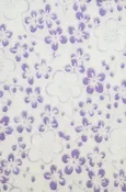 Komagami: Purple & White w/ Cherry Blossoms
