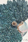 "Black Cockatoo" Notebook