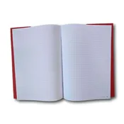 Main Lesson Book, Math Graph Pages