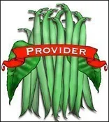 Bean Seed. Organic Provider. Pkt.