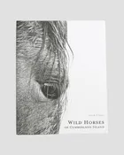 Wild Horses of Cumberland Island by Anouk Masson Krantz: Hardcover