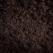 Primary Planting Soil
