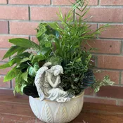Sleeping Angel Dish Garden