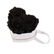 Black Roses - Mini Chelsea Gift Box in Midnight