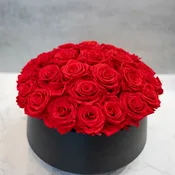 PRESERVED Red Roses in Black Ceramic