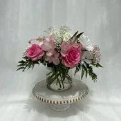 Baby Baby Pink