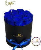 12 PRESERVED BLUE ROSE IN A ROUND BOX