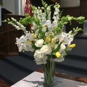 Fresh White & Bright