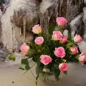 Rose Pink Ice