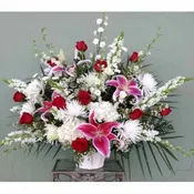 SYMPATHY ARRANGEMENT - SYM-047