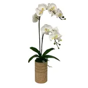 [RESL-ORYED] Gold Glass Vase Large - White & Yellow Double Orchid Artificial
