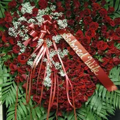 Bleeding Heart Red Roses