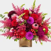 Crimson Elegance