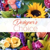 Designer's Choice