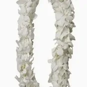 Graduation Lei