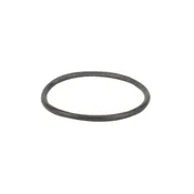 BANJO LS150-G, Gasket, Y Strainer Bowl, 1 1/2 -2 in.