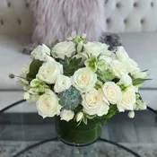 White and Green