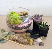 [Virtual] Succulent Terrarium Class