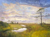 Blooming Marsh