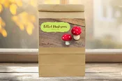 Felted Mushroom Craft Kit