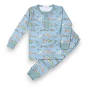 Baby Loren Boys Dino Friends Two-Piece Loungewear