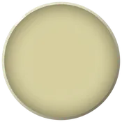 B01 BEVEL Platter