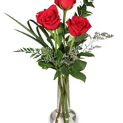RED ROSE BUD VASE 3 PREMIUM ROSES