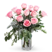 Pink Roses (12)