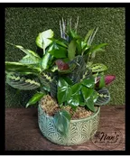 12" CERAMIC DISH GARDEN