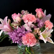 Pink Mariposa