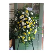 SYMPATHY SPRAY - SYM-098