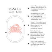 Curimonia Astrology Sign Die Cut Stickers