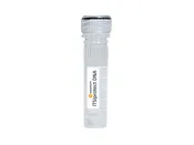 ITSIprotect DNA (K-0050)