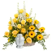 RAYS OF SUNSHINE BASKET SURROUND