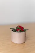 Mini Mason Pink Sand